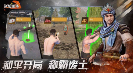 逆境重生v0.12.8(2)