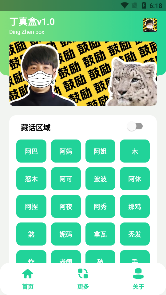 丁真盒v1.0(2)