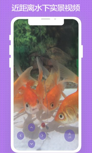 玩鱼v2.6.0(1)