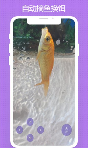 玩鱼v2.6.0(3)