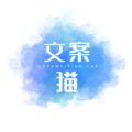 每日文案