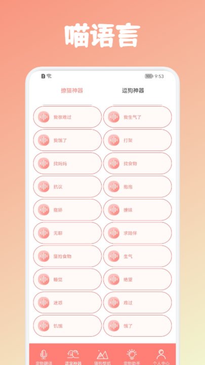 安猫逗猫神器v1.1(1)