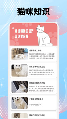 筑梦猫舍宠趣v1.1(4)