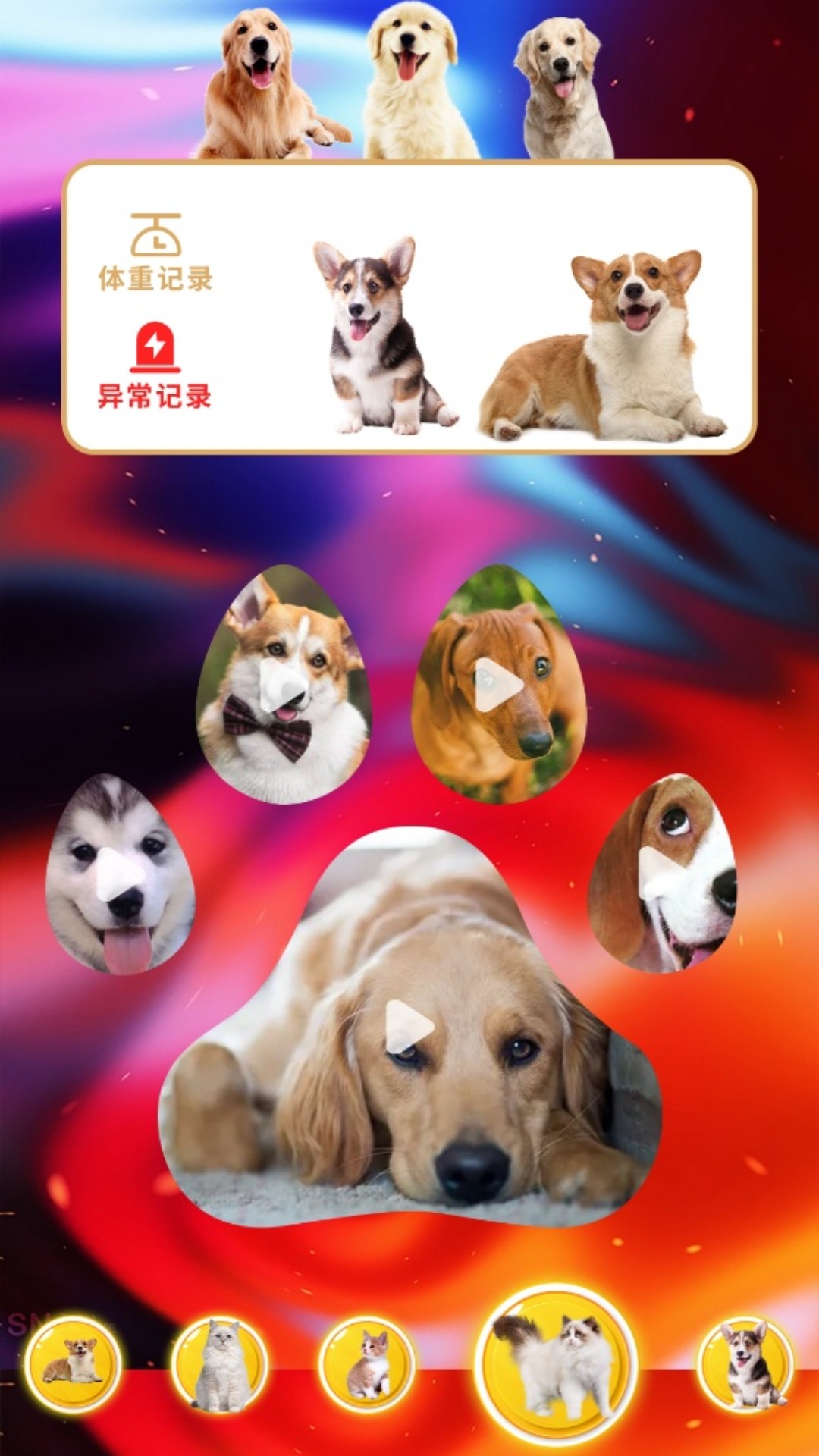 agosda翻译助手v1.1(2)