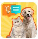 猫狗精准翻译