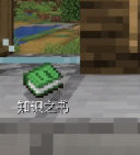 沙威玛传奇mc版