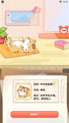 桌面喵无限猫爪币