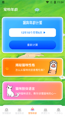 宠物猫咪翻译器高级版
