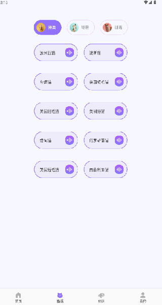 筑梦猫舍宠趣