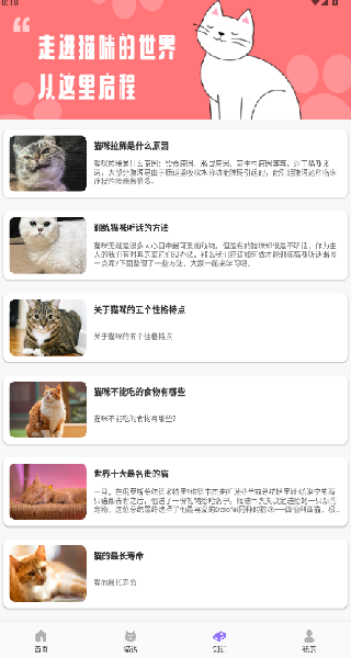筑梦猫舍宠趣