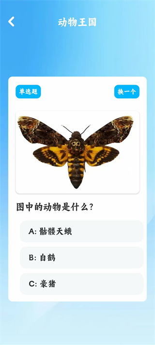 你听过没