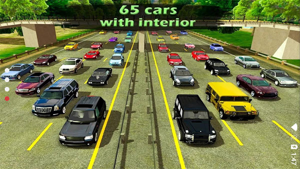 真实停车场最新版v5.9.4(4)