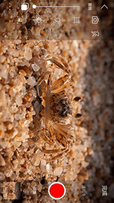 逐格光影v1.5.5(1)