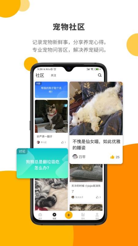 Paw Labv1.2.6(4)