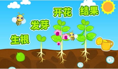 奇妙的种子