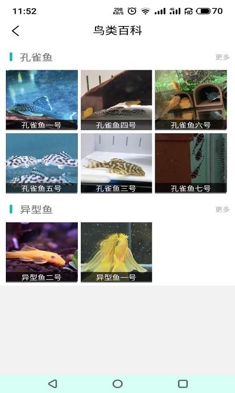 鸟圈v1.2.1(4)