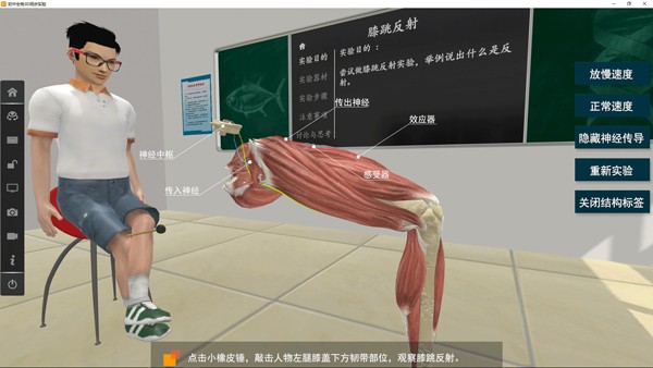 矩道初中生物VR3D虚拟仿真实验室