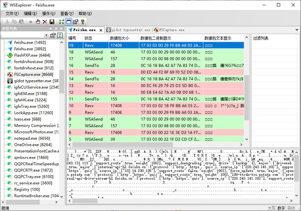 WSExplorer(网络抓包工具)