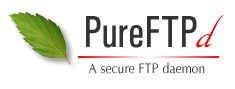 FTP服务器(Pure-FTPd)