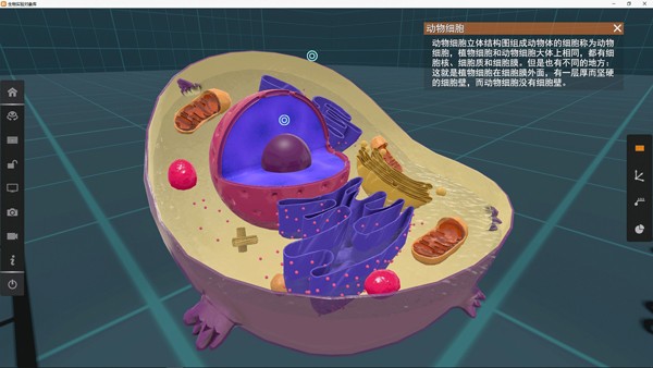 矩道高中生物VR3D虚拟仿真实验室