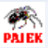 网络分析软件pajek