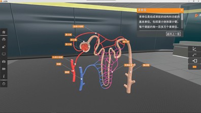 矩道初中生物VR3D虚拟仿真实验室