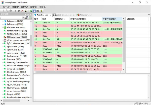 WSExplorer(网络抓包工具)