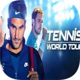网球世界巡回赛 v1.0安卓版