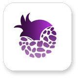 紫石榴应用商店 v1.0.0安卓版