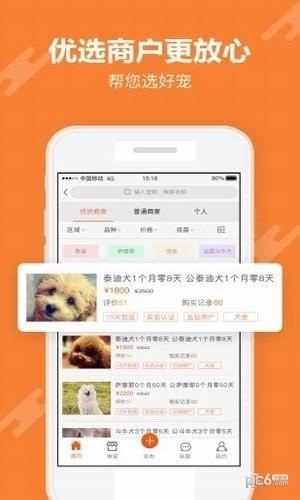 宠小宝