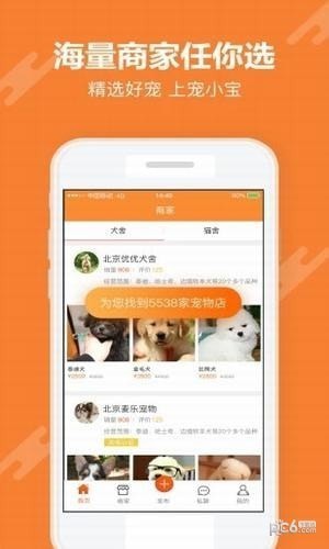 宠小宝