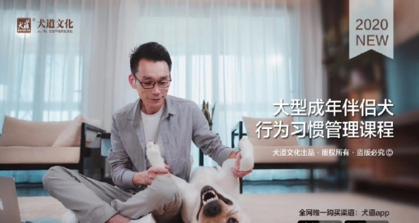 犬道