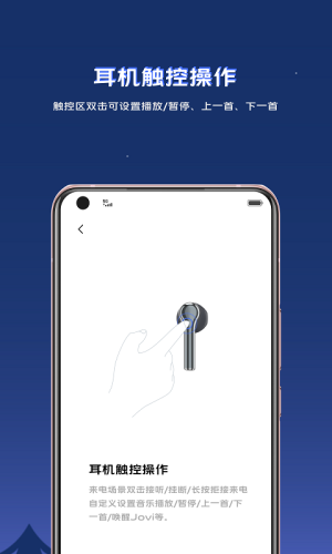 vivo earphones