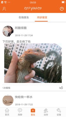 羽鳞军