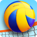 专业沙滩排球赛 v1.0.3安卓版