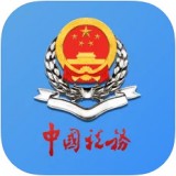 新疆税务 v3.34.0安卓版