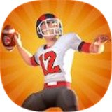 NFL生活3D v0.2安卓版