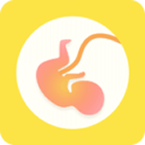 孕期备孕 v5.3.6安卓版