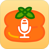 柿子定时录音 v1.0.1安卓版