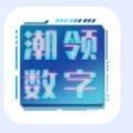 潮领数字藏品 v1.0安卓版