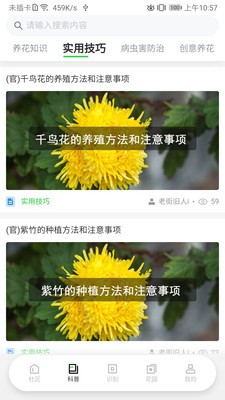苗云卉