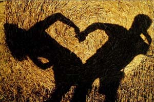 超酷3D照片展示效果