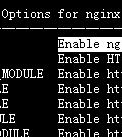 nginx for Windows