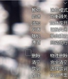 音乐飞行Mcool(音乐播放器)
