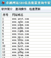 卓越网站SEO信息批量查询专家