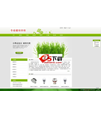 网展中英企业网站系统 绿色风格
