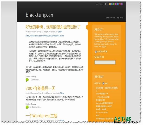 Wordpress Skittlish主题下载