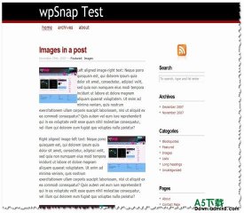 Wordpress CopyBlogger(年度最佳13)