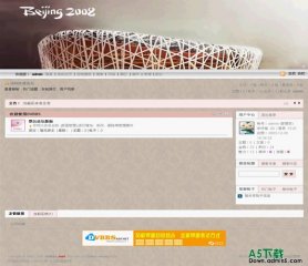 动网论坛 北京奥运风格