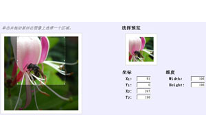 jquery坐标图片框裁剪